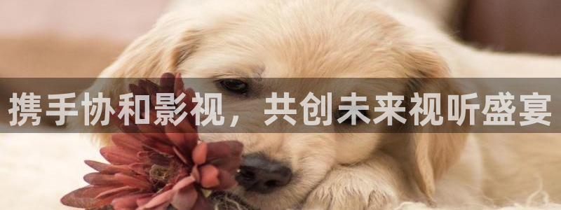 电影天堂eeuss影院