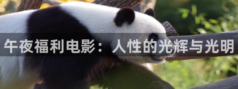 eeuss影院天堂www在线观看：午夜福利电影：人性的光辉与光明
